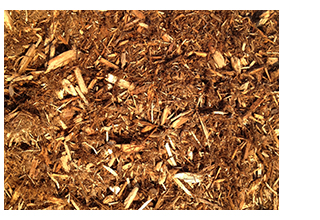 northern white cedar mulch